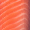 Organic Sliced Salmon